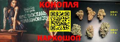 стаф Камышлов