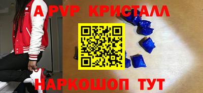 стаф Камышлов