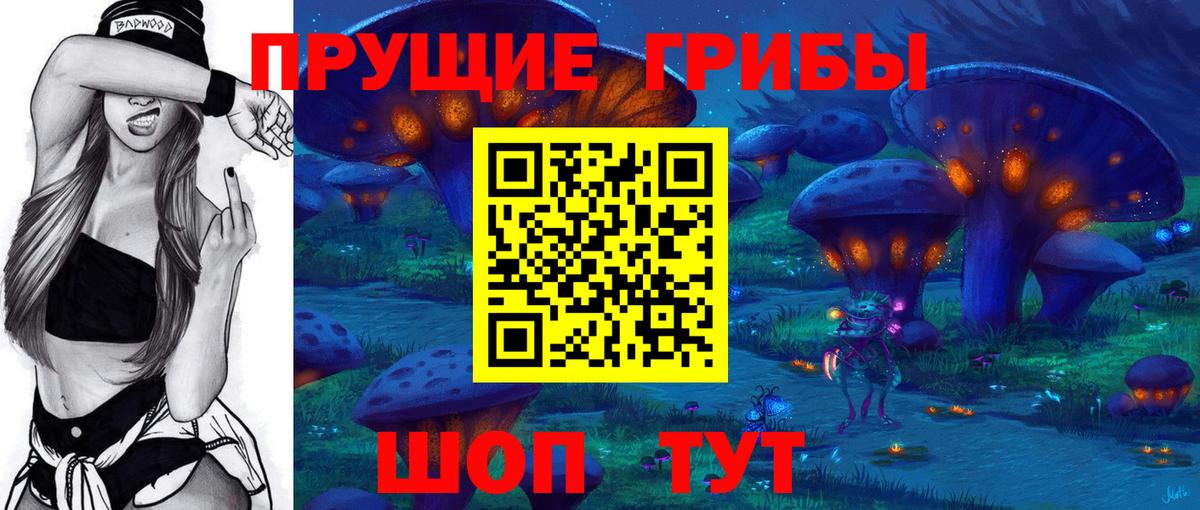 Заволжье  Псилоцибиновые грибы GOLDEN TEACHER  Вход с VPN 